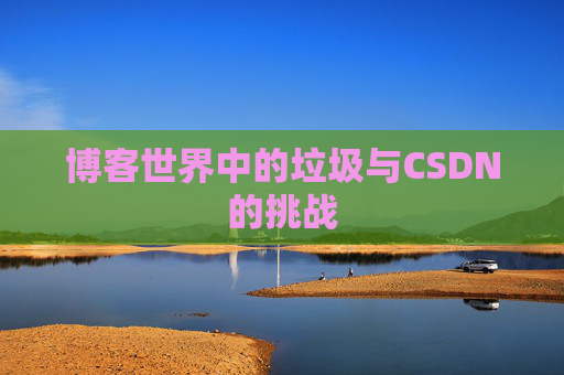 博客世界中的垃圾与CSDN的挑战