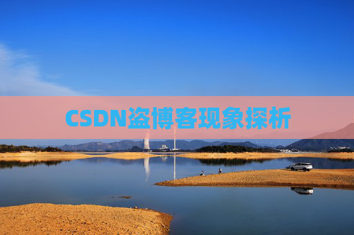 CSDN盗博客现象探析